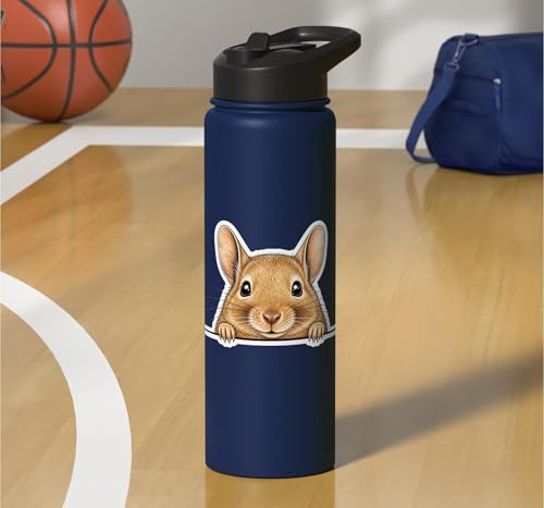 Peeking Degu Stainless Steel Insulated Water Bottle - color: Navy Blue