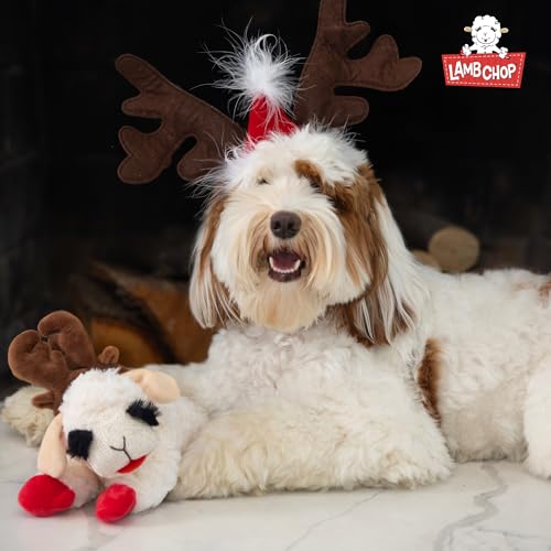Multipet Lamb Chop Dog Plush Toy w/ Santa Hat - Squeaky Toy for All Dogs - Extra Soft Plush - Stuffed Animal for Cuddling & Playing (6”, Cream) - size: 6", style: Santa Hat