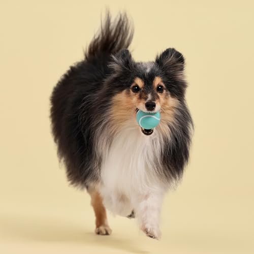 Playology Squeaky Chew Ball Dog Toy - Small, Peanut Butter Scent, 3-Pack | Floating, Bouncy Fetch Toy, All Breeds, Indoor Outdoor Use, Non Toxic, Dishwasher Safe
