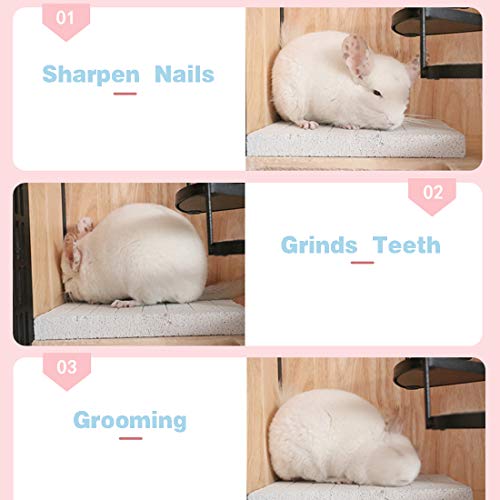 Hamiledyi Rabbit Scratch Foot Pads Bunny Grinding Claw Pad 2 PCS Natural Small Animal Hamster Lava Stone for Teeth Grinding Rabbit Scratching pad Chew Toy for Guinea Pig Rat Gerbil Chinchilla Hedgehog - color: White-2PCS