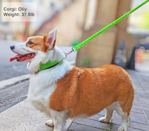 5FT Bungee Dog Leash Shock Absorbing Reflective Nylon Lead 2cm Wide | Soft Handle- Lightweight- Anti-Pull Training for Small/ Medium Dogs- 6 Colors - color: Teal