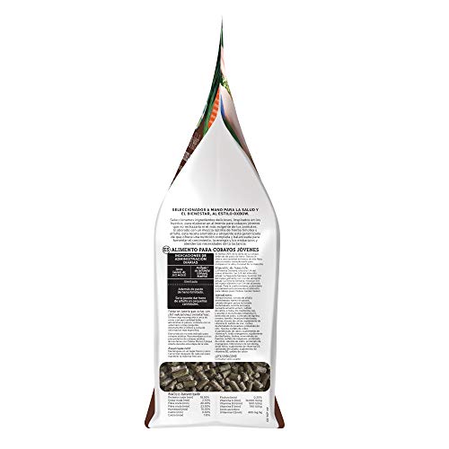Oxbow Garden Select Young Guinea Pig Food, Uniform Guinea Pig Pellets, 4 lb | Guinea Pig Food, Timothy Hay, Alfalfa, High Fiber for Digestive Health, Vitamins & Minerals, Prevents Selective Feeding - size: 4 Pound (Pack of 1)