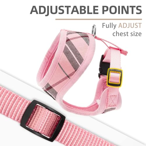 PUPTECK Soft Mesh Dog Harness and Leash Set Pet Puppy Cat Comfort Padded Vest No Pull Harnesses, Light Pink, S - color: Light pink, size: S (NECK: 12", CHEST: 14"-18")