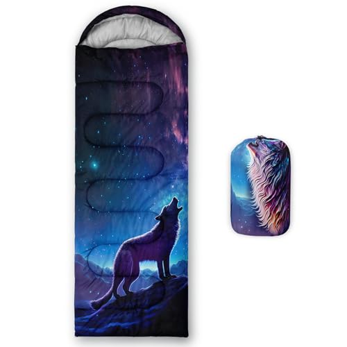 AILONEN Cartoon Car Sleeping Bags,Lightweight & Waterproof,3 Season Warm & Cool Weather,Cute Stars Printed Vehicles Transportation Sleeping Bags for Boys,Kids,Adults Travelling,Outdoors - color: Wolf1