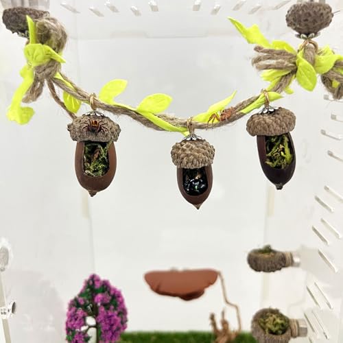 Jumping Spider Hide, Magnetic Climbing Rope Bridge, Handmade Real Acorn Hideaway Cave, Spider Platform, Decorative Accessory for Small Reptile Enclosures (Style 1) - style: Style 1