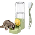 Sugar Glider Cage Water Dispenser Dripless, Non-Drip Water Bottle and Brush, Sugar Glider Accessories, Small Pets Drink Bottle for Rats Gerbils Syrian Hamsters Squirrel (Green)