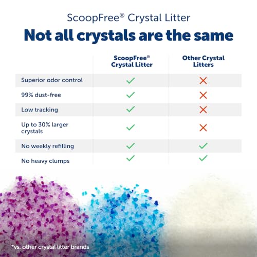 PetSafe ScoopFree Odor Control Crystal Cat Litter, Fresh Scent, 8 Lb Bag | 5x Faster Odor Control than Clumping Clay Litter, 99% Dust-Free, Low Tracking Crystals, Compatible with Any Cat Litter Box - size: 1-Pack (8 lb Bag)