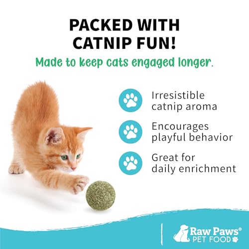 Raw Paws Catnip Balls for Cats (6-Count) - Interactive Indoor Cat Toy | Natural Compressed Natural Catnip - Cat Lick Balls - Catnip Roller Balls - Play & Enrichment Toy - Fresh Dried - No Additives