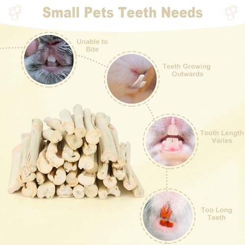 500g Sweet Bamboo Chew Sticks Natural Rabbit Guinea Pig Chinchilla Chews Sticks Toys for Teeth Bunny Molar Treats Chinchilla Guinea Pig Hamster Small Animals