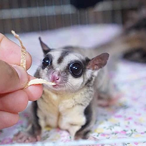 Exotic Nutrition Omega YUMS Fish Stick Treat for Sugar Gliders | All Natural Strips Made with Real Fish (0.6 oz) - size: 0.6 Ounce (Pack of 1)