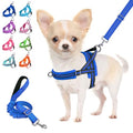 Lukovee Small Dog Harness and Leash Set, No Pull Soft Padded Vest | Both Neck & Chest Adjustable, Reflective, Puppy Harness with 4ft Lightweight Anti-Twist Dog Leash for Small Dogs (Blue, M) - color: Blue, size: M ( Chest 19.7'' ~ 29.1'')