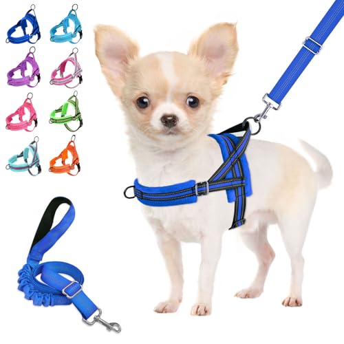 Lukovee Small Dog Harness and Leash Set, No Pull Soft Padded Vest | Both Neck & Chest Adjustable, Reflective, Puppy Harness with 4ft Lightweight Anti-Twist Dog Leash for Small Dogs (Blue, S) - color: Blue, size: S ( Chest 17.5'' ~ 22'')