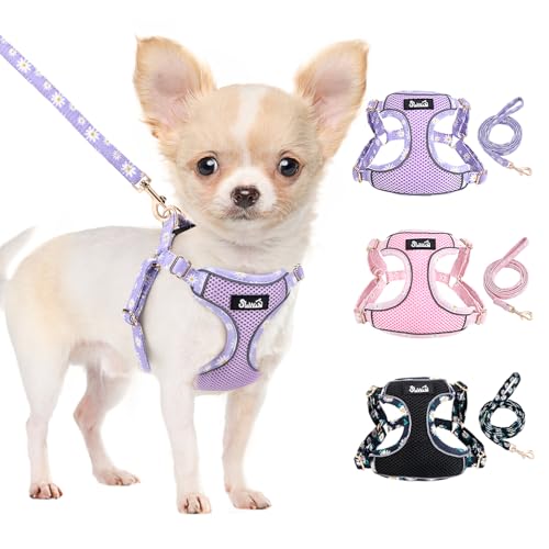 Lukovee Puppy Harness and Leash Set, No Pull Step in Lightweight Mesh Vest | Soft, Reflective, Easy Put on and off, Adjustable, Breathable Air Mesh, with 51in Leash for Walking Hiking (Purple, XXS) - color: Purple, size: XX-Small (2.2-6 lb)