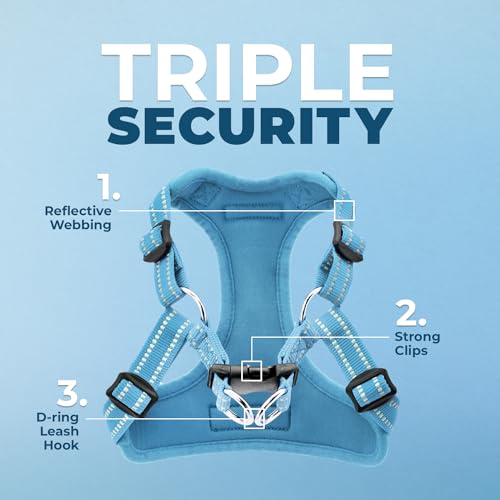 Voyager Step-in Flex Adjustable Dog Harness - Baby Blue, X-Small | 13 - 16" in Chest, Fully Adjustable, Reflective Bands, All Weather Breathable Air Mesh, Lightweight, Fast Drying - color: Harness (Baby Blue), size: XS