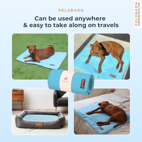 Dog Cooling Mat, Ice Silk Self-Cooling Pad, Light Blue, L - color: Light Blue, size: Large