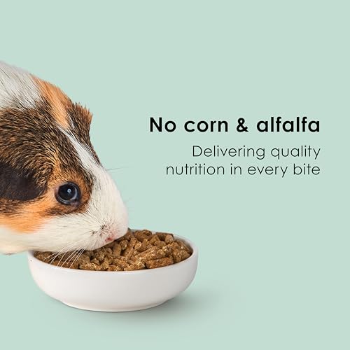 Kaytee Timothy Complete Guinea Pig Food, Made with Timothy Hay, High in Fiber, Supports Dental Health and Digestion, Long-lasting Vitamin C, 5 pounds - size: 5 Pound (Pack of 1)