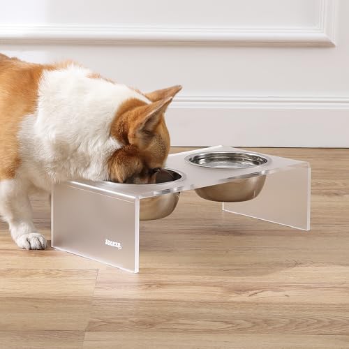 DBL2000K Keaton 5" Small/Medium Modern Acrylic Rectangular Elevated Pet Feeder with 20oz 2-Stainless Steel Bowls, Moon White/Chrome - color: Moon White/Chrome, size: 20 Ounces (5" Cups 2-Pack)