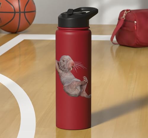 I Just Really Like Naked Moles Ok? Funny Naked Mole Rat Stainless Steel Insulated Water Bottle - color: Red