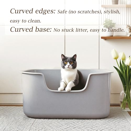Large Cat Litter Box with High Sides, Side Entry Open Top Deep Tall Litter Pan, Kitty Litter Box for Indoor Small and Medium Cats, Grey (Anti-Splashing) 19.7" L x 15.4" W x 8.6" H - color: Grey