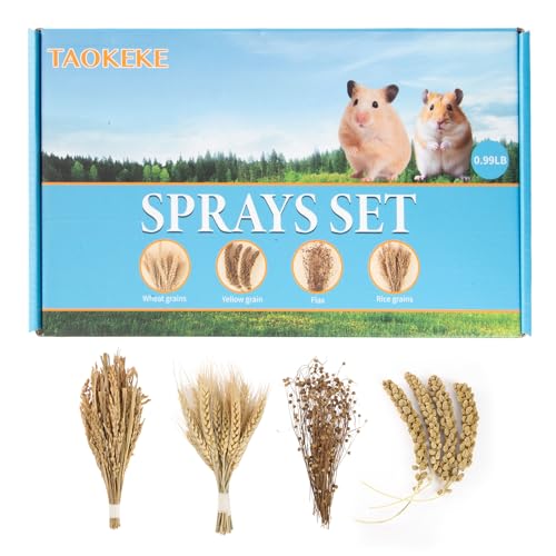 Hamster Spray Set - Natural Snack Grains & Chew Toys for Cage Decoration Accessories, Soft Bedding for Dwarf Syrian Hamsters, Gerbils, Mice & Small Pets - size: 4 Kinds of Grains