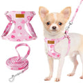 Lukovee Small Dog Harness and Leash Set, No Pull & Lightweight Step in Vest | Adjustable, Step in Easy Put on and off, No Choke, Soft Cotton and Suede, for Small Dogs Puppy Daily Walking (Pink-S, XS) - color: Strawberry, size: X-Small ( 5.5-11lb )