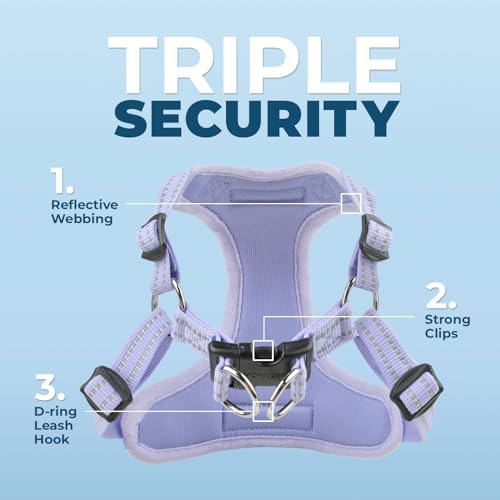 Voyager Step-in Flex Adjustable Dog Harness - Lavender, X-Small | 13 - 16" in Chest, Fully Adjustable, Reflective Bands, All Weather Breathable Air Mesh, Lightweight, Fast Drying - color: Harness (Lavender), size: XS