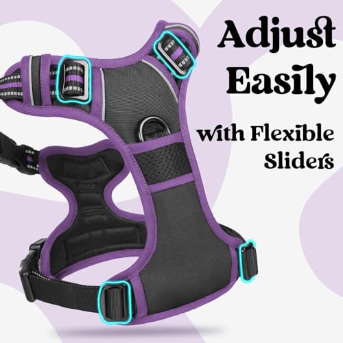 rabbitgoo Dog Harness Small Sized, Updated Easy On & Off with 3 Buckles | No Pull No Choke, Walking with 2 Clips and Handle, Adjustable Soft Reflective, Black & Purple, Small - color: Black & Purple, size: Small