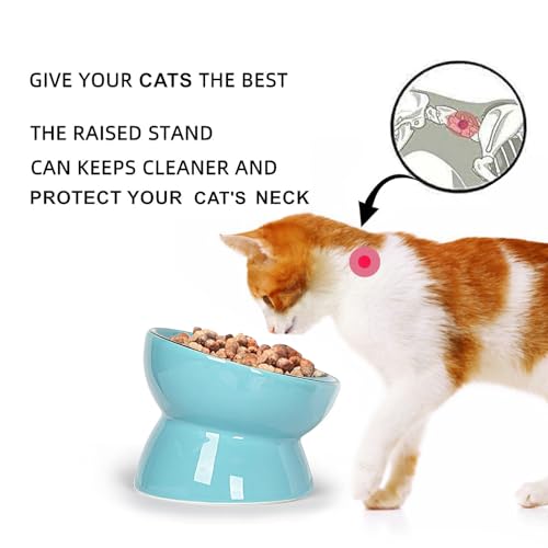 ONTUBE Ceramic Raised Cat Dishes Bowl, 10 oz (Blue) | Ceramic, elevated, 5.3in, 10oz, pet bowl, easy-clean, non-slip, sturdy, ergonomic, healthier, dishwasher-safe, microwave-safe - color: Blue