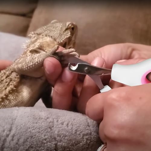Bearded Dragon Nail Clippers with Precise Angled Edges | Stainless Steel Bearded Dragon Toe Nail Clippers (Pinky White) - color: Pinky White