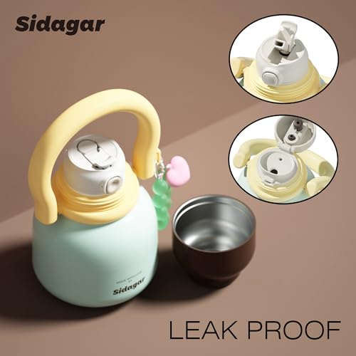 22 oz Leakproof Insulated Water Bottle with Handle Dual Lid Blue | 316L Stainless Steel | Dual Drinking Options | BPA-Free | Steel | Cold 24H & Hot 12H | Wide Mouth Design | Easy Cleaning - color: Sage Green