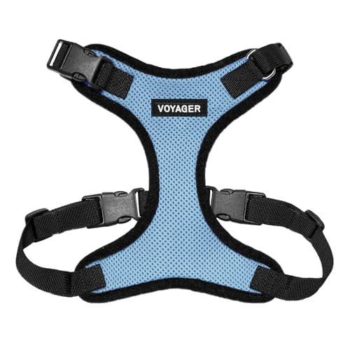 Voyager Step-in Lock Dog Harness - Baby Blue/Black Trim, X-Small | 13 - 16" in Chest, Adjustable, Breathable Air Mesh, Lightweight for Daily Walks, Strong Clips, Heavy Duty D-Ring - color: Harness (Baby Blue/Black Trim), size: XS (Chest: 13 - 16")