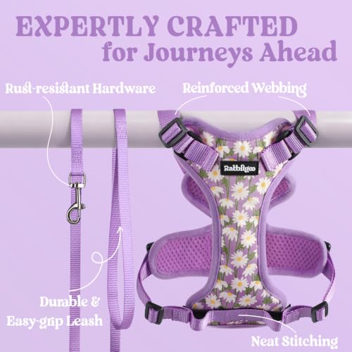 rabbitgoo Cat Harness and Leash Set, Escape Proof Vest, Purr-ple Daisy | Soft Breathable Mesh, Easy Adjustable Fit, Snap Buckles, Sturdy Clip, Reflective Strips, for Kittens & Small Cats Walks, Xxs - color: Purr-ple Daisy, size: Xxs