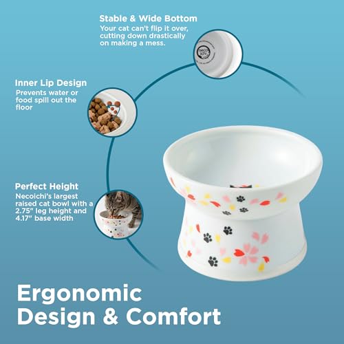 Necoichi Ceramic Elevated Cat Food Bowl (Sakura, Regular Flat) - color: Sakura, size: Regular