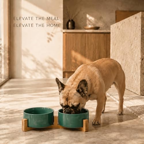SPUNKYJUNKY Ceramic Dog and Cat Bowl Set with Wooden Stand, Modern Cute Weighted Food Water Set for Small Size Dogs (13.5OZ) & Medium Sized Dogs (28.7OZ) & Cats (3.6 Cups, 2 × Light Green) - color: Light Green × 2, size: 3.6 cups