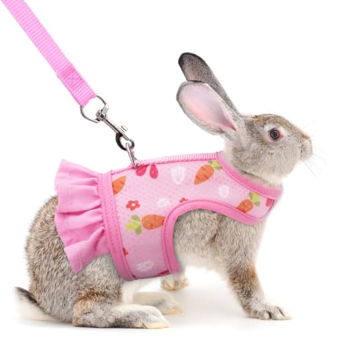 Rabbit Harness and Leash Set,Cute Bunny Harness Guinea Pig Mesh Vest Pink M | Bunny Rabbit Harness Leash Set Guinea Pig Mesh Vest Escape Proof Walking Puppy Small Animal Pets Rat Squirrel Ferret M - color: Pink, size: M(Juvenile Rabbit)4 months old