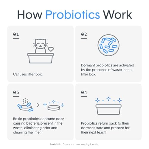 Boxie® Probiotic 40 Day Natural Odor Control Cat Litter, 16lb Clumping Clay Kitty Litter (Pack of 2) - size: 16 Lb (Pack of 2)