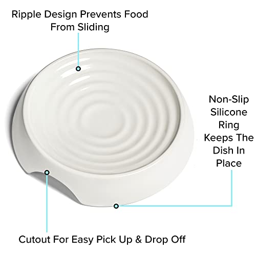 CatGuru Cat Bowls, Whisker Friendly Food Bowl for Indoor Cats, Reliefs Whisker Fatigue, Wide Kitten Dish, Non Slip Pet Dishes, Shallow Pet Plates (Ceramic (Pack of 2)) - color: Ceramic, White, size: Dish - Set of Two