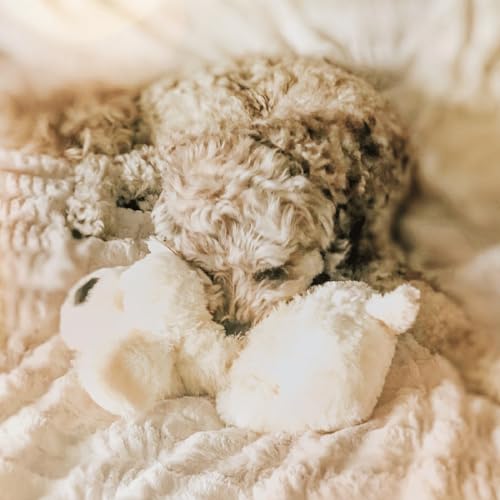 Snuggle Puppy Heartbeat Toy, Calming Comfort, Medium Breeds - Cream | Calming heartbeat toy, crate training comfort, heat pack, new puppy essentials, first nights, sleep, medium breeds 25-70 lbs - color: Golden