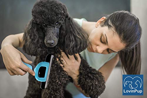 Cat & Dog Brush for Shedding – Deshedding Tools for Pets | 95% Shedding Reduction for Cleaner Homes – Removable Stainless Steel Comb with Comfort Grip Handle for Pets with Dense Coats - size: Grooming Brush