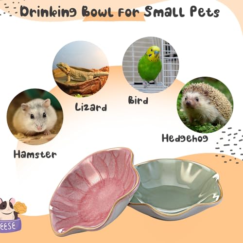 2 Pcs Hamster Food Bowl Ceramic Food Water Feeding Dish for Hamster Guinea Pig Hedgehog Gerbil Dwarf Rat Mice Chinchilla Sugar Glider(Lotus Leaf) - style: Lotus Leaf