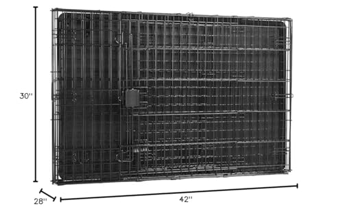 Amazon Basics Portable, Collapsible Metal Wire Dog Crate with Removable Tray, Double Door, Easy to Assemble, Divider Panel for Large Dogs, 42" x 28" x 30", Black - size: 42.0"L x 28.0"W x 30.0"H, style: Double Door w/ Divider