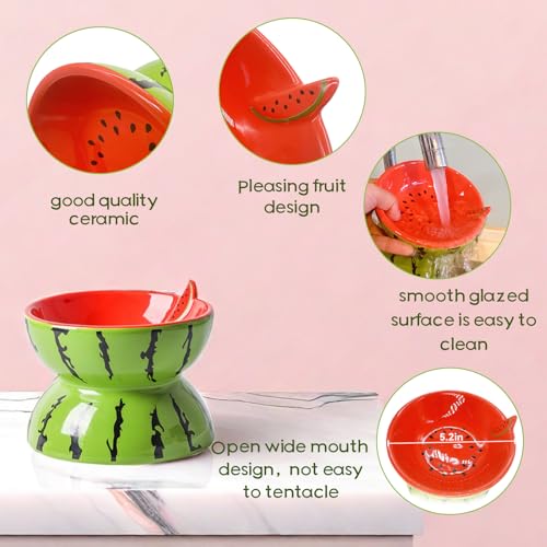 Hamiledyi Ceramic Raised Cat Bowl 5In Elevated Wide Cat Bowl for Food and Water Anti Vomiting Tilted Pet Feeder Dish for Indoor Cats and Small Dogs(Watermelon)