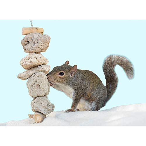 Exotic Nutrition Pumice Chew Dangle - Natural Healthy Hanging Cage Accessory Toy - for Squirrels, Degus, Chinchillas, Prairie Dogs, Birds, Rats, Hamsters, Guinea Pigs & Other Small Pets - color: Light Gray