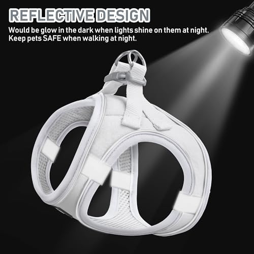 GAMUDA Small Pet Harness Collar and Leash Set, Step in No Chock No Pull Linen Fabric Soft Mesh Dog Vest Harnesses Reflective for Dogs Puppy Cats Kitten Rabbit (White, XXS) - color: White, size: XXS
