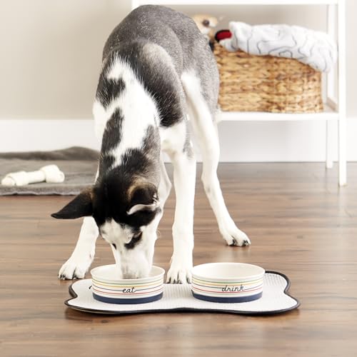 Bone Dry Ceramic Food Bowls, Non-Slip & Dishwasher Safe, Medium Set, 6x2 Eat/Drink - color: Eat/Drink, size: Medium Set, 6x2"