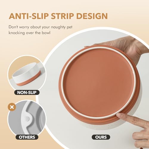 Havniva Dog Bowls Ceramic, Dog Food and Water Bowl Set | 5.1inch Dog Food Bowl, Dog Water Bowl, Food-Grade Ceramic Non-Slip Rubber Base, Dishwasher Safe, 2 Pack, Small Dogs, Puppy - color: 2 Bowls-Vanilla White, size: 1.6CUPS