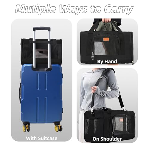 ROYPET Cat Carrier,Portable Pet Carrier Bag for Cats and Small Dogs,Foldable Soft-Sided and Scratch-Proof mesh Cat Bag Pet Carriers,Airline Approved Pet Carrier,Pet Travel Carrier Up to 15 Lbs,Black - color: Black