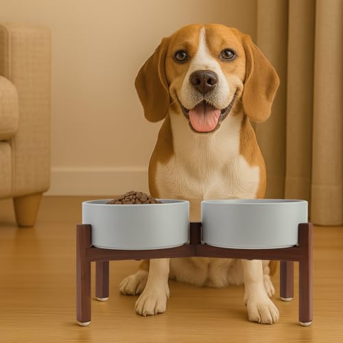 SPUNKYJUNKY Raised Ceramic Dog Bowls Set with Non-Slip Acacia Wood Stand for Medium Sized Dog(42.27 OZ, Gray) - color: Gray, size: 42.27 Oz