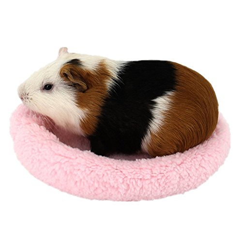 BWOGUE Hamster Bed, Round Velvet Sleep Pad for Guinea Pigs and Rats, 8.7 in | Round Mat for Small Pets, Soft Velvet, Machine Washable, Cage & Home Use, Hamsters Guinea Pigs - color: Pink