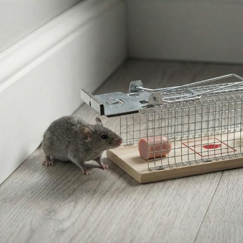 6 Pack Small Humane Mouse Trap, 6 x 2.4 x 2.8 Inch | No Kill, Catch and Release, Reusable Live Mouse Trap, Indoor Outdoor Rat Cage for Small Live Rodent Mole Safe Control